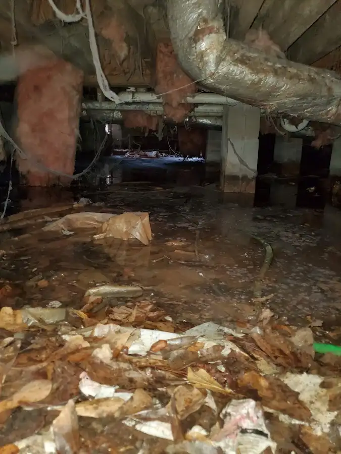 Crawl space flood assessment for Leak Detection & Repair in The Acreage